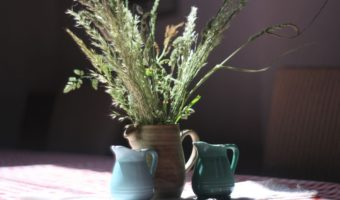 display of dried grasses in a vase