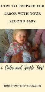 pinterest pin of big sister holding new baby brother