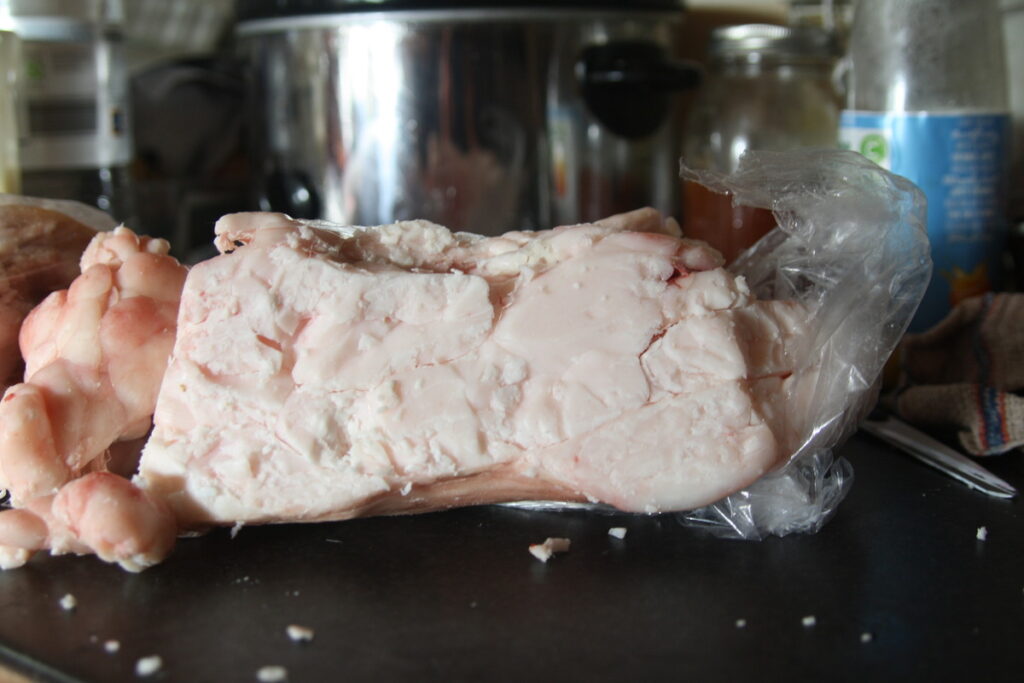 A piece of beef fat used to make tallow for simple soap recipe